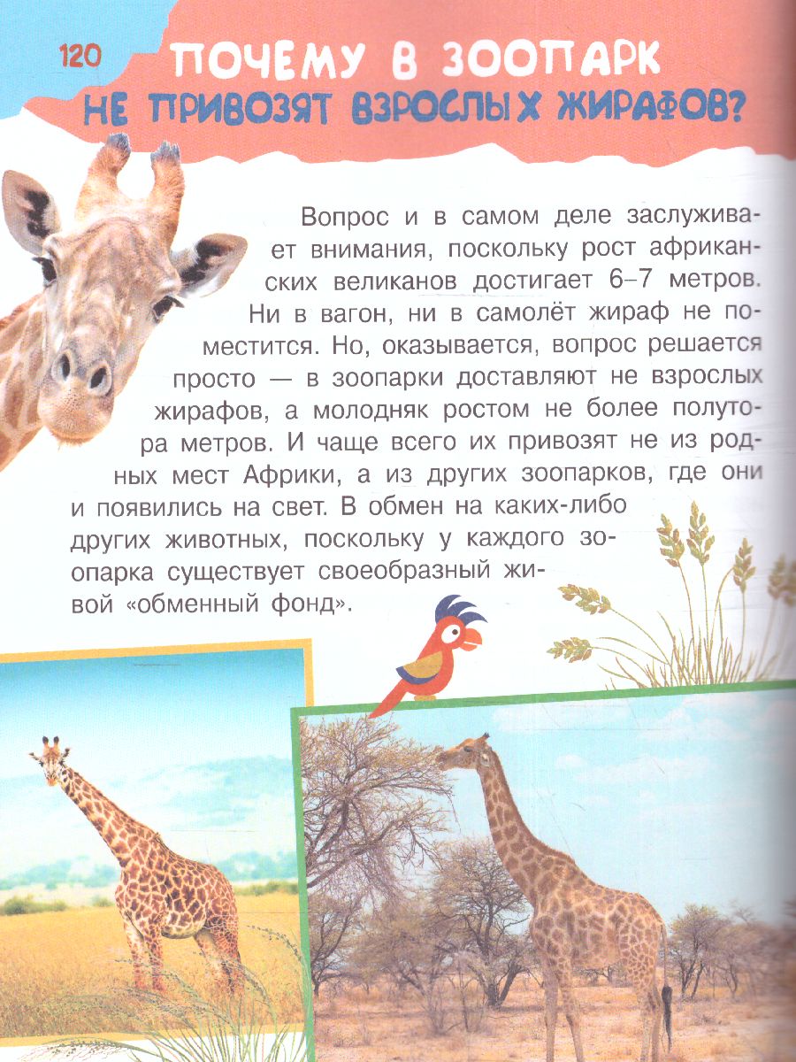 Обложка Почему и отчего. Самые интересные детские вопросы /100 тысяч почему, издательство АСТ | купить в книжном магазине Рослит
