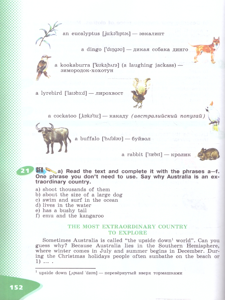 Обложка книги Английский язык. 6 класс. Углублённый уровень. Учебное пособие. В 2-х частях. Часть 2, Автор Афанасьева О.В. Михеева И.В., издательство Просвещение | купить в книжном магазине Рослит