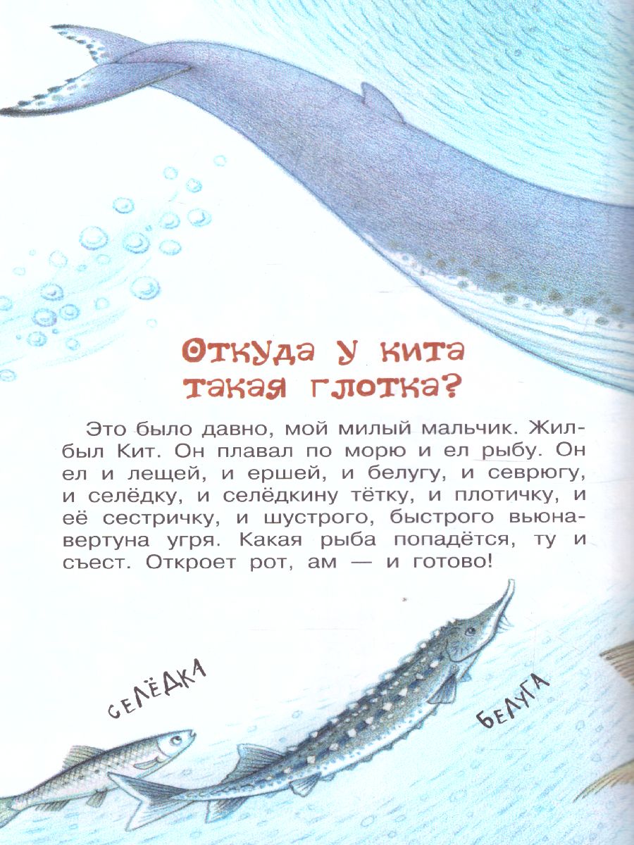 Обложка книги Рикки-Тикки-Тави. Сказки. Библиотека начальной школы, Автор Киплинг Р.Д., издательство АСТ | купить в книжном магазине Рослит