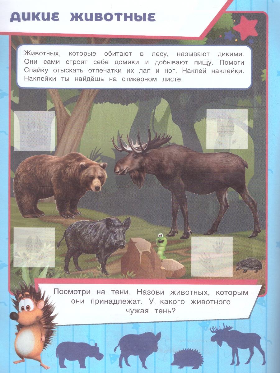 Обложка книги Животные. Буба. Учись! Играй! Развивайся! 3 в 1 + наклейки, Автор Сигал Е., издательство Умка                                               | купить в книжном магазине Рослит