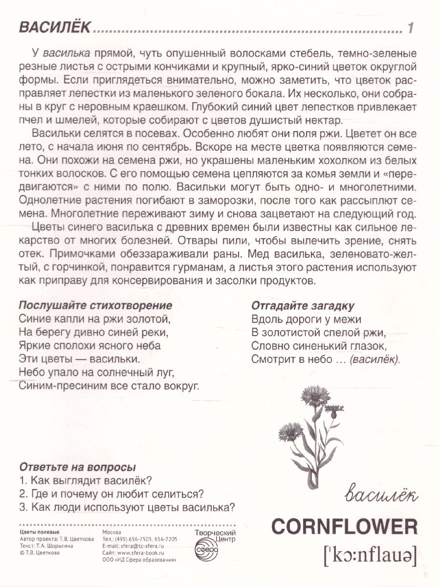 Обложка книги Демонстрационные картинки СУПЕР. Цветы полевые. 16 демонстрационных картинок с текстом 173х220 мм, Автор Цветкова Т.В., издательство Сфера | купить в книжном магазине Рослит