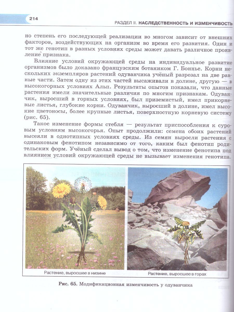 Обложка книги Биология 10-11 класс. Базовый уровень. Учебник, Автор Андреева Н.Д., издательство Мнемозина | купить в книжном магазине Рослит