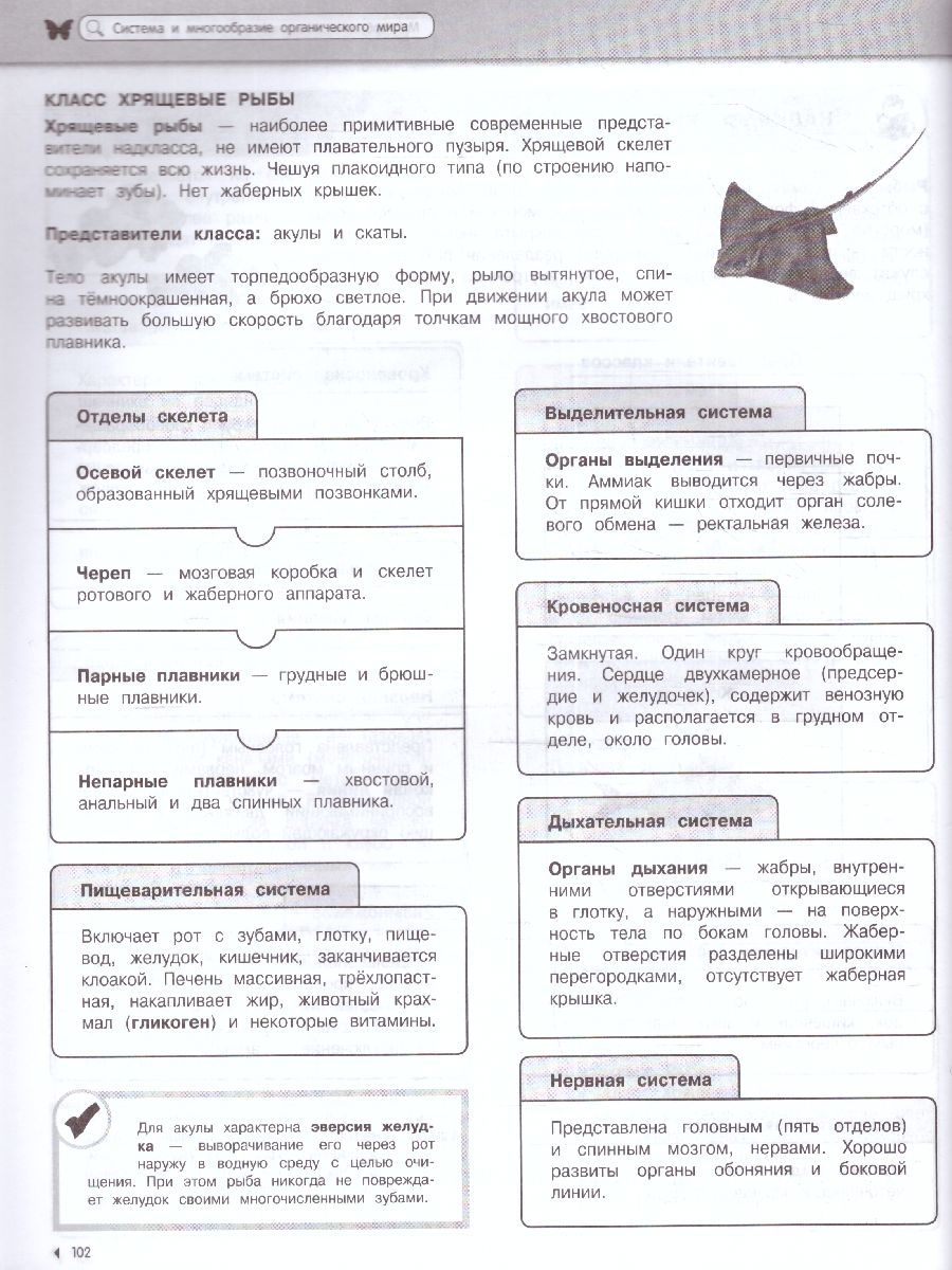 Обложка книги Биология Наглядный школьный курс: удобно и понятно, Автор Мазур О.Ч. Никитская Т.В., издательство ЭКСМО | купить в книжном магазине Рослит