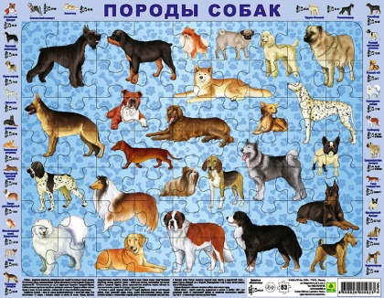Обложка книги Детский пазл на подложке. Породы собак. (36х28 см, 63 эл.), Автор , издательство РУЗ Ко | купить в книжном магазине Рослит