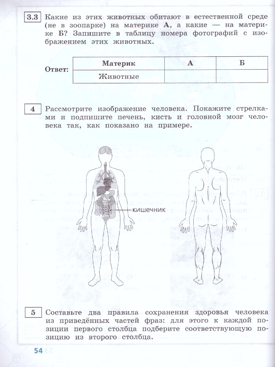 Обложка книги ВПР Окружающий мир 4 класс. 10 типовых вариантов, Автор Волкова Е.В. Корнейчик Е.В., издательство Просвещение | купить в книжном магазине Рослит