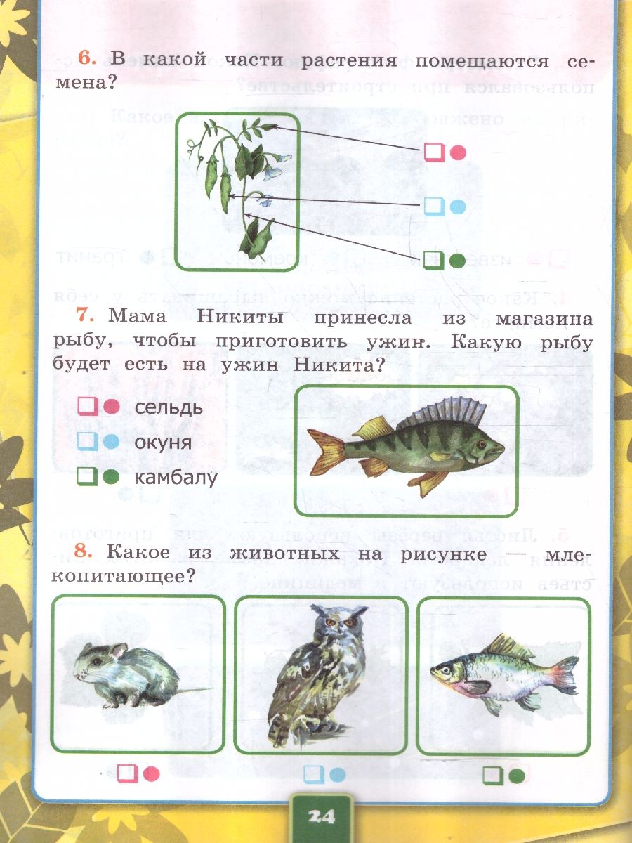 Обложка книги Окружающий мир 1 класс. Рабочая тетрадь. Часть 1. К новому учебнику. УМК Плешакова. ФГОС НОВЫЙ, Автор Соколова Н.А., издательство Экзамен | купить в книжном магазине Рослит