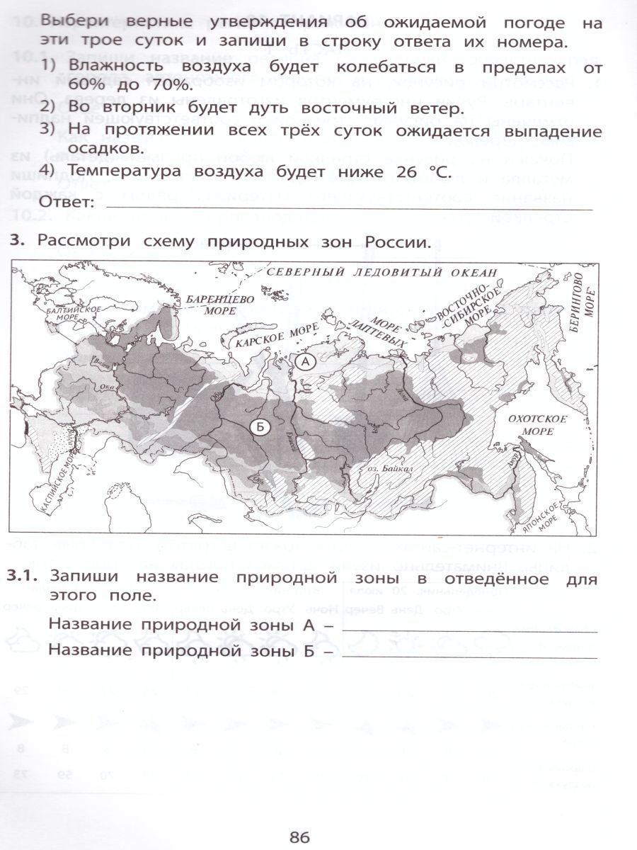 Обложка книги Окружающий мир 4 класс. 10 вариантов итоговых работ для подготовки к ВПР, Автор Скворцов П.М., издательство Издательство Интеллект-центр | купить в книжном магазине Рослит